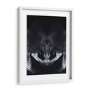 Craneo Antiguo - Rodrigo Barrera | Cuadro decorativo de Canvas Lab