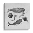 Mar - Iván Terrible | Cuadro decorativo de Canvas Lab