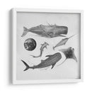 Mar - Iván Terrible | Cuadro decorativo de Canvas Lab