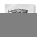 Mar - Iván Terrible | Cuadro decorativo de Canvas Lab