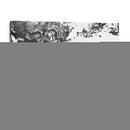 Tinta - Rodrigo Barrera | Cuadro decorativo de Canvas Lab