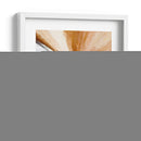 VITRAL CAFE - Rodrigo Barrera | Cuadro decorativo de Canvas Lab