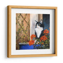 Curioso - Adriana Sosa | Cuadro decorativo de Canvas Lab