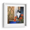 Curioso - Adriana Sosa | Cuadro decorativo de Canvas Lab