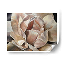 Beige y Complementos - Adriana Sosa | Cuadro decorativo de Canvas Lab