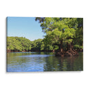 Árboles en el lago de Camécuaro - Luis Rodrigo Magaña Andrade | Cuadro decorativo de Canvas Lab