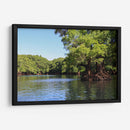 Árboles en el lago de Camécuaro - Luis Rodrigo Magaña Andrade | Cuadro decorativo de Canvas Lab