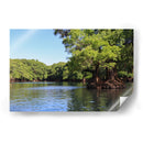 Árboles en el lago de Camécuaro - Luis Rodrigo Magaña Andrade | Cuadro decorativo de Canvas Lab