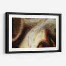 Cobrizo - Rodrigo Barrera | Cuadro decorativo de Canvas Lab