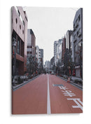 Calle Pintada de Carmín, Tokio, Japón - Luis Velasco | Cuadro decorativo de Canvas Lab