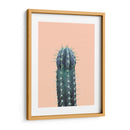 Cactus N1 - Alemi | Cuadro decorativo de Canvas Lab