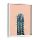 Cactus N1 - Alemi | Cuadro decorativo de Canvas Lab