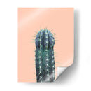 Cactus N1 - Alemi | Cuadro decorativo de Canvas Lab