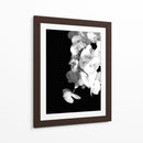 Orquídeas en blanco y negro - Alemi | Cuadro decorativo de Canvas Lab