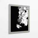 Orquídeas en blanco y negro - Alemi | Cuadro decorativo de Canvas Lab