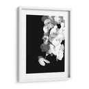 Orquídeas en blanco y negro - Alemi | Cuadro decorativo de Canvas Lab