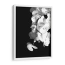 Orquídeas en blanco y negro - Alemi | Cuadro decorativo de Canvas Lab