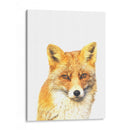 Zorro - Alemi | Cuadro decorativo de Canvas Lab