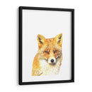 Zorro - Alemi | Cuadro decorativo de Canvas Lab