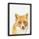 Zorro - Alemi | Cuadro decorativo de Canvas Lab