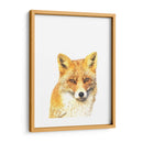 Zorro - Alemi | Cuadro decorativo de Canvas Lab