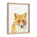 Zorro - Alemi | Cuadro decorativo de Canvas Lab