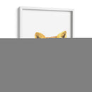 Zorro - Alemi | Cuadro decorativo de Canvas Lab