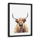 Vaca de las tierras altas - Alemi | Cuadro decorativo de Canvas Lab