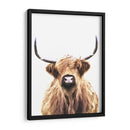 Vaca de las tierras altas - Alemi | Cuadro decorativo de Canvas Lab