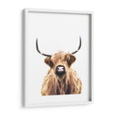 Vaca de las tierras altas - Alemi | Cuadro decorativo de Canvas Lab