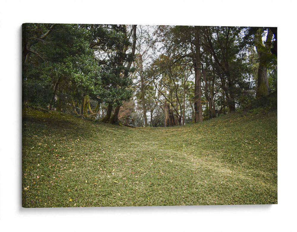 Colinas Verdes, Tokio, Japón - Luis Velasco | Cuadro decorativo de Canvas Lab
