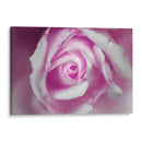 Alma - Mauricio Silerio | Cuadro decorativo de Canvas Lab