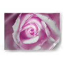 Alma - Mauricio Silerio | Cuadro decorativo de Canvas Lab