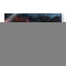 Espinas - Rodrigo Barrera | Cuadro decorativo de Canvas Lab