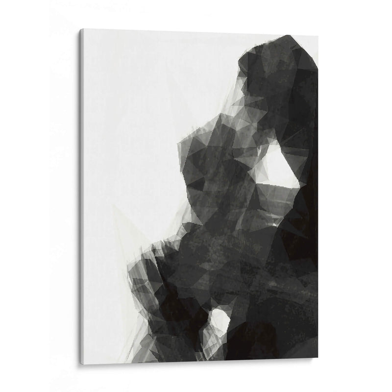 Firma - Rodrigo Barrera | Cuadro decorativo de Canvas Lab