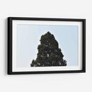 El Gran Pino, México - Luis Velasco | Cuadro decorativo de Canvas Lab