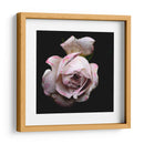 Dropped Flower #1 - Mr EEM