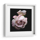 Dropped Flower #1 - Mr EEM