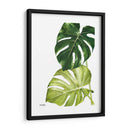 Monstera  - Blanca Aurora | Cuadro decorativo de Canvas Lab