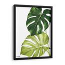Monstera  - Blanca Aurora | Cuadro decorativo de Canvas Lab