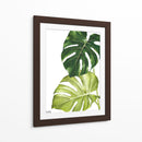 Monstera  - Blanca Aurora | Cuadro decorativo de Canvas Lab