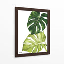 Monstera  - Blanca Aurora | Cuadro decorativo de Canvas Lab