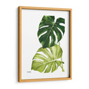 Monstera  - Blanca Aurora | Cuadro decorativo de Canvas Lab