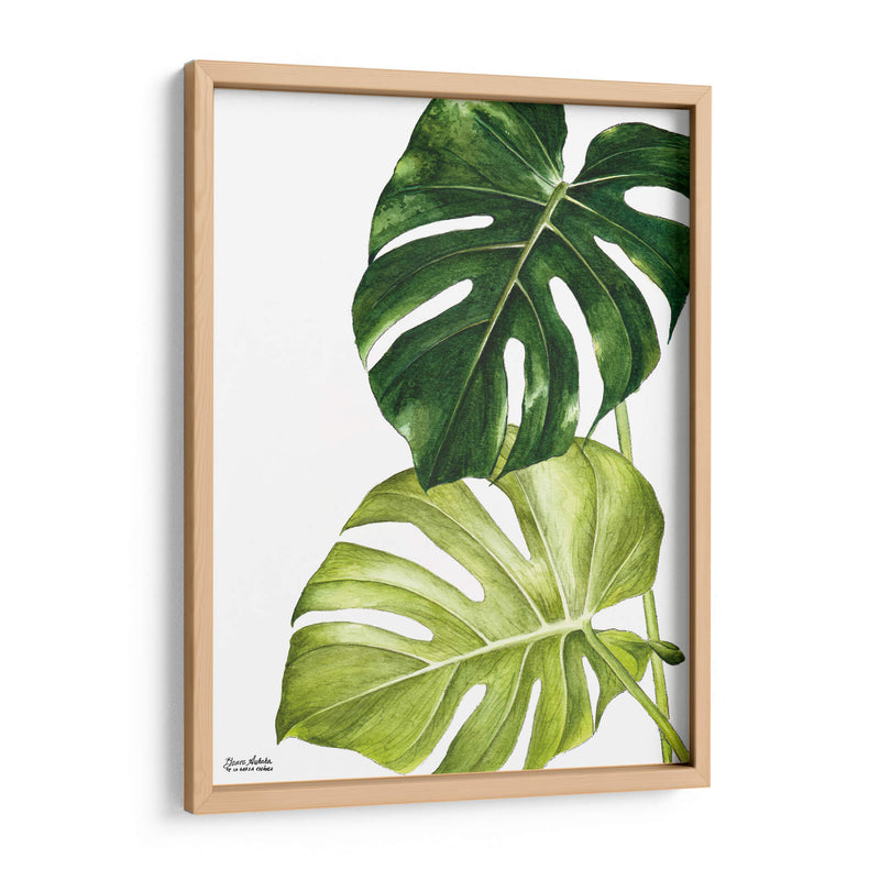 Monstera  - Blanca Aurora | Cuadro decorativo de Canvas Lab