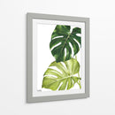 Monstera  - Blanca Aurora | Cuadro decorativo de Canvas Lab