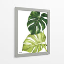 Monstera  - Blanca Aurora | Cuadro decorativo de Canvas Lab