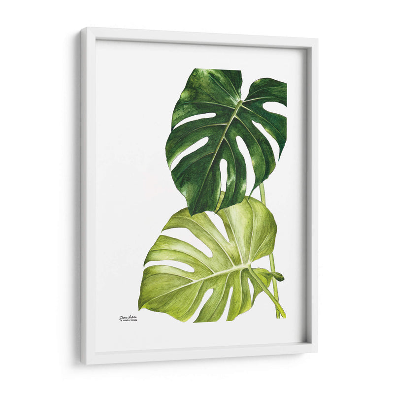 Monstera  - Blanca Aurora | Cuadro decorativo de Canvas Lab