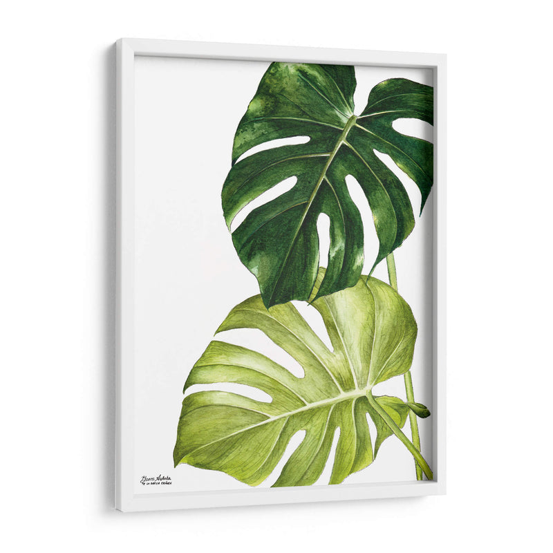 Monstera  - Blanca Aurora | Cuadro decorativo de Canvas Lab