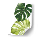 Monstera  - Blanca Aurora | Cuadro decorativo de Canvas Lab