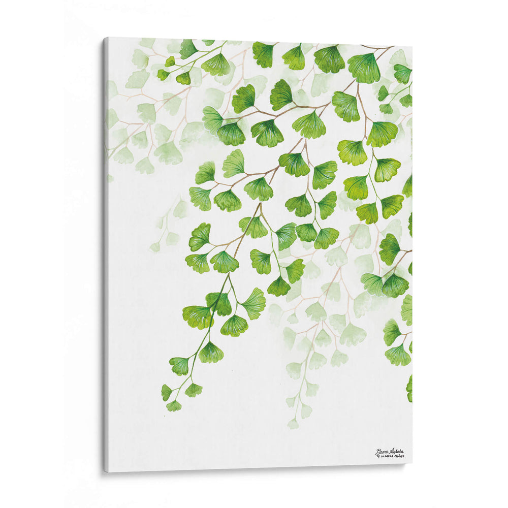 Helecho Cilantrillo - Blanca Aurora | Cuadro decorativo de Canvas Lab